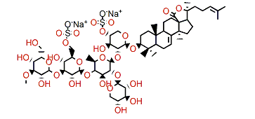 Frondoside B